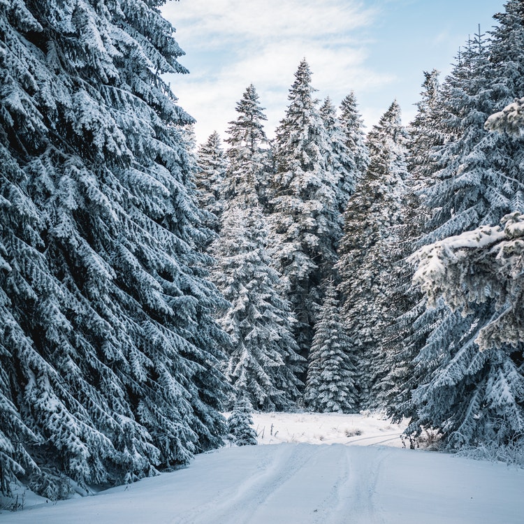 The Winter Checklist – Preparations for Winter Driving